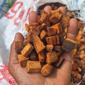 Coco Husk Chips Premium Coco Husk Chips Premium